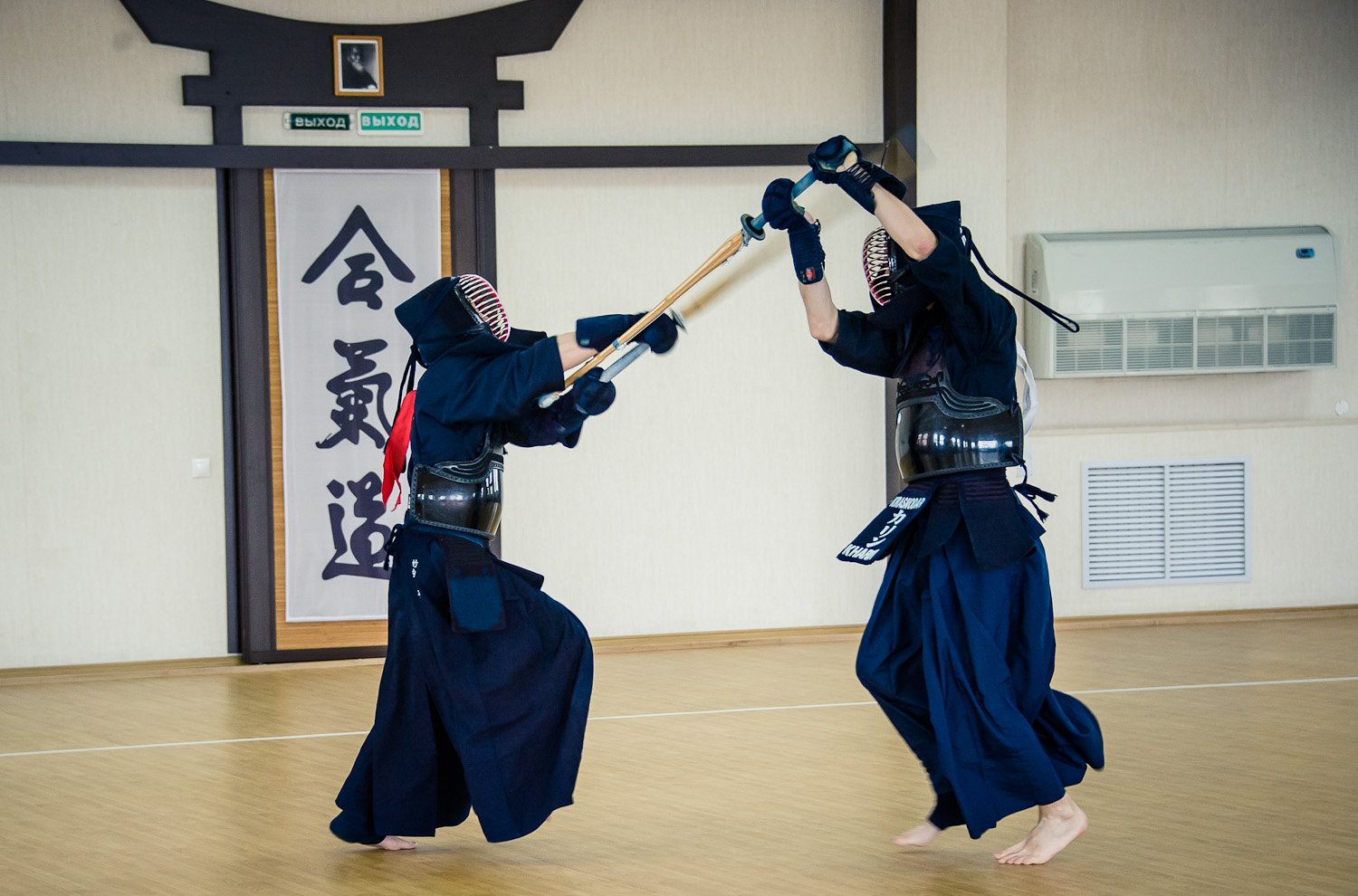 боевые искусства японии
