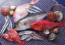 Кулинарный мастер-класс "Рыбный день"