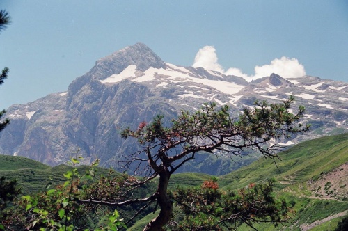 photo