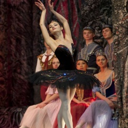 Фото ballet-imperial.ru