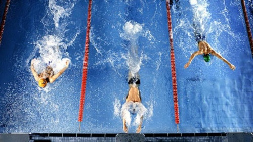 Краевые соревнования по плаванию, посвященные памяти Разночинцева