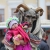 Фото Евгения Смирнова. Кублог