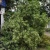 Фото Василия Смирного. Кублог
