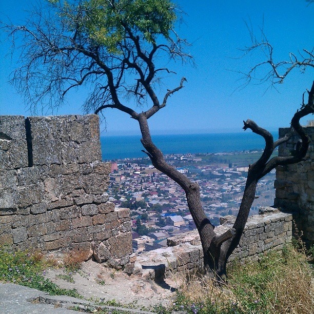 Вид со стен крепости на город