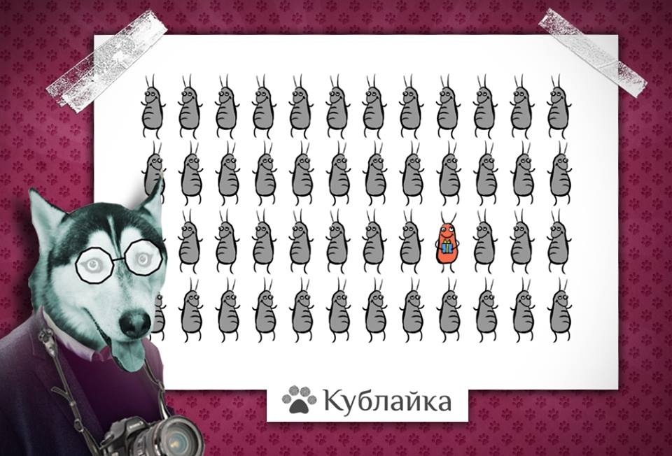 Коллаж Анастасии Сюсюра. Кублог