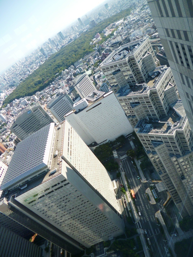 Вид на Токио с площадки.