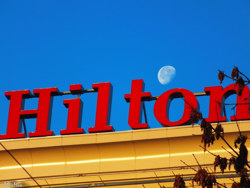 Луна над Хилтоном
