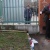 Фото Филимоны Цитрусовой. Кублог