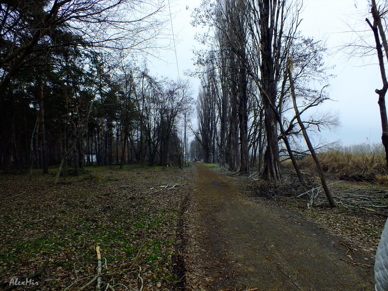 Аллея Аллея