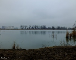 Старая Кубань.