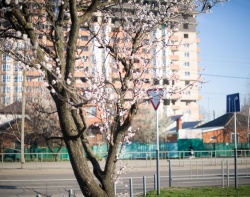 Фото Бориса Мальцева. Кублог