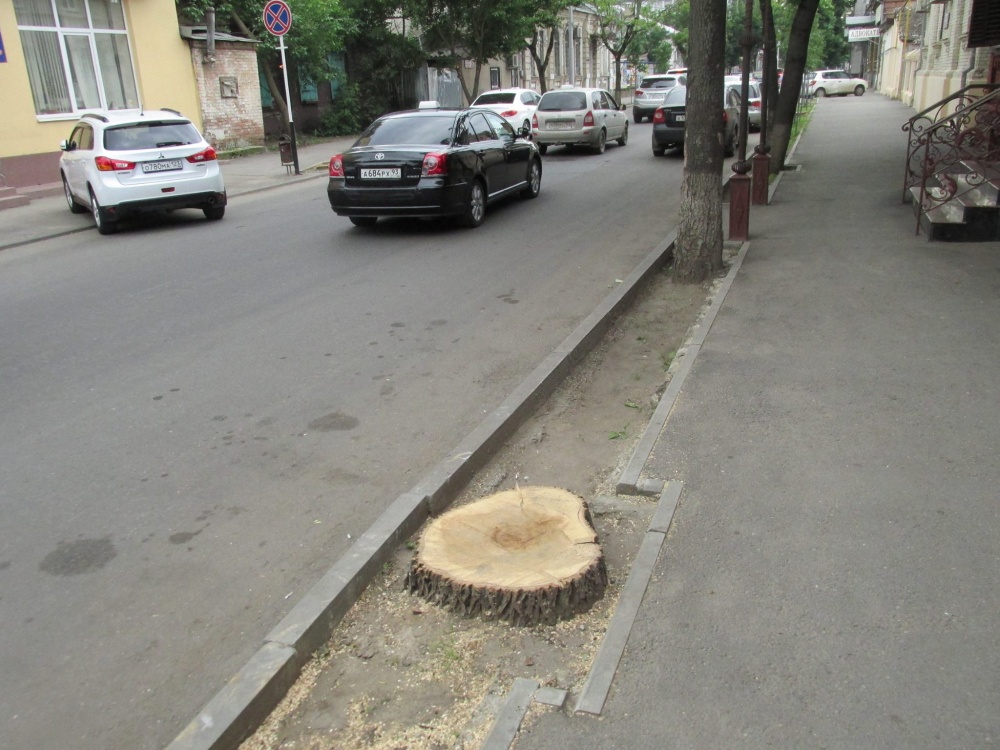 Фото Николай Ватаман