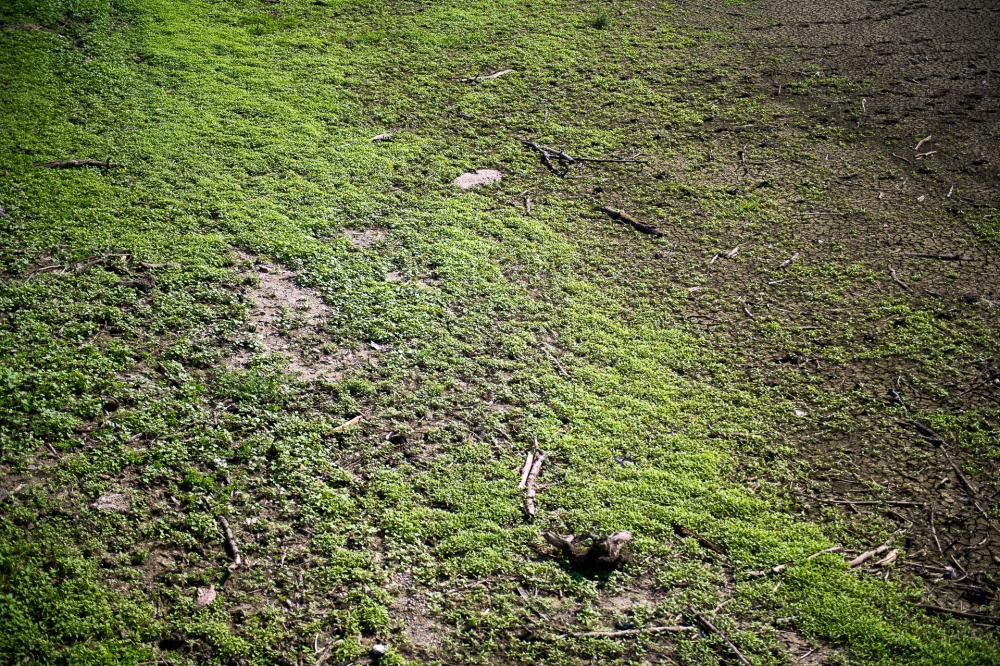 Фото Бориса Мальцева. Кублог