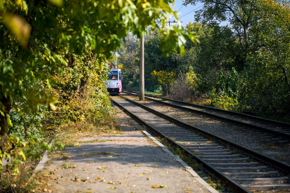 Фото Бориса Мальцева. Кублог