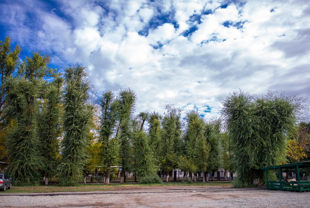 Фото Бориса Мальцева, Кублог Фото Бориса Мальцева, Кублог