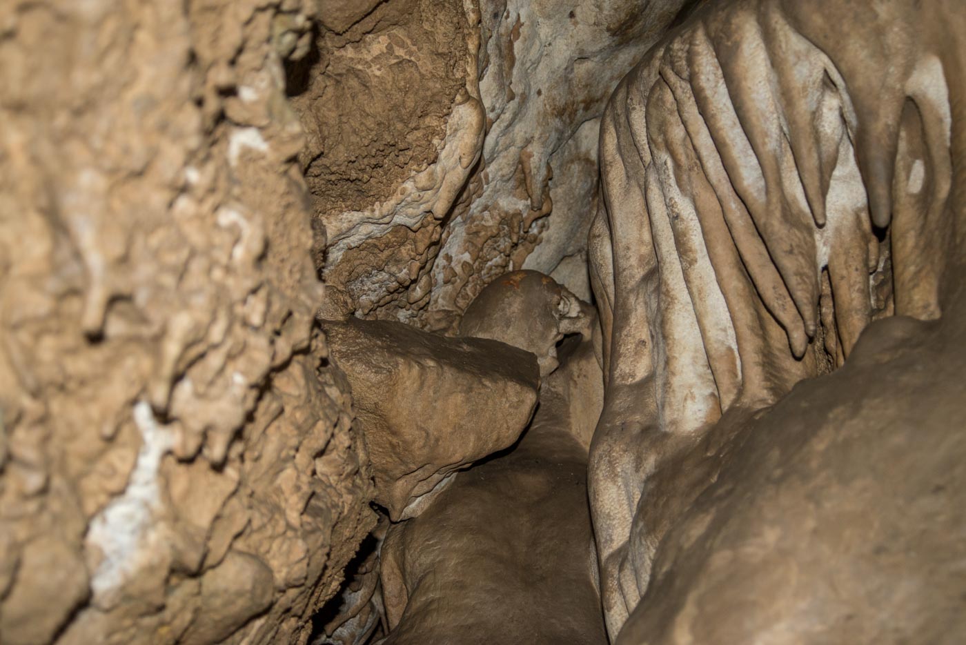 Включи кота пещеру. Большая Фанагорийская пещера. Большая Фанагорийская пещера горячий ключ. Кошачья пещера горячий ключ. Фанагорийская и Кошачья пещеры.