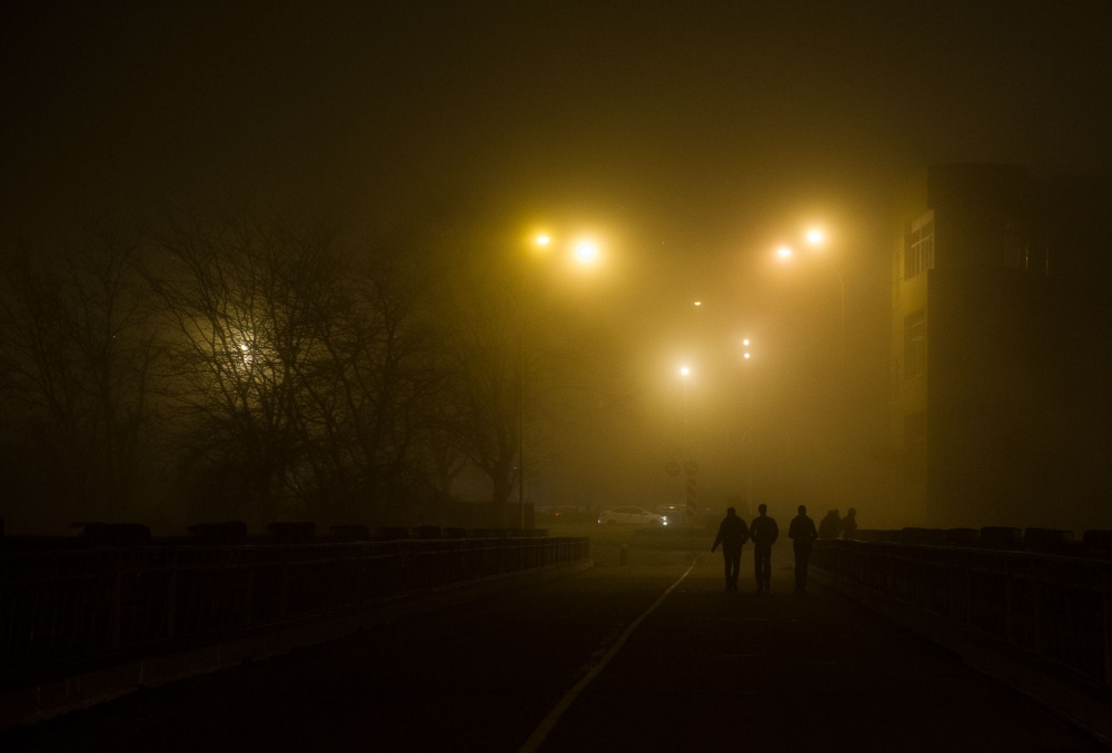 Борис Мальцев, Кублог