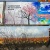 Фото Всеволода Альшанского. Кублог