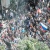 Фото Всеволода Альшанского. Кублог