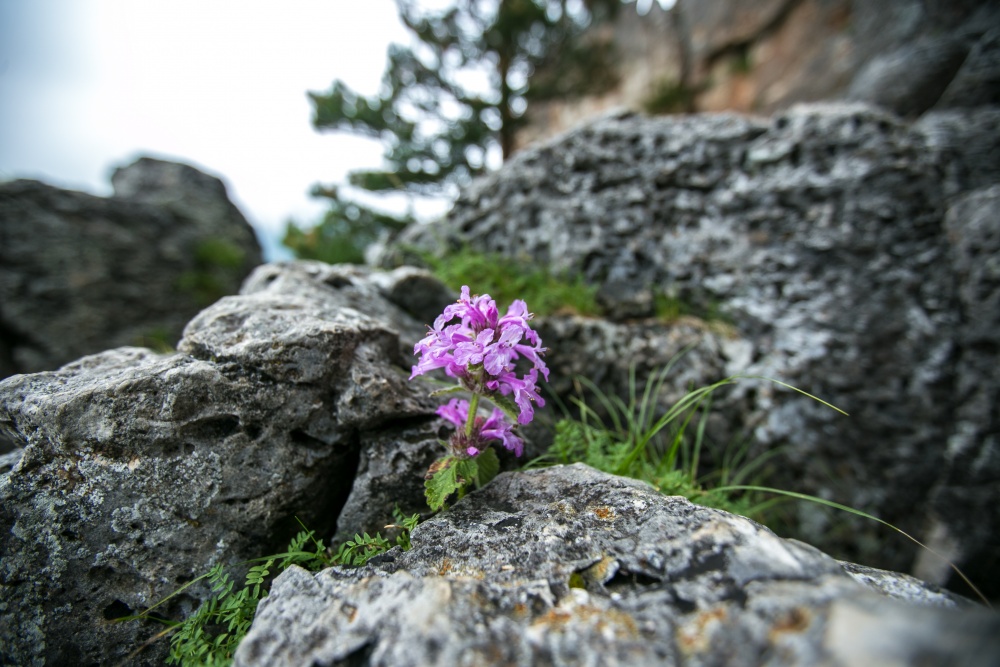 фото Артем Кухтеев