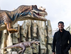 Директор "Сафари-парка": "Восемь лет назад я даже не видел льва или тигра"